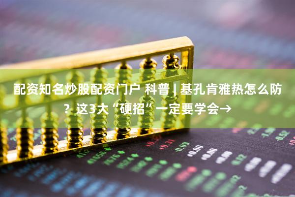 配资知名炒股配资门户 科普 | 基孔肯雅热怎么防？这3大“硬招”一定要学会→