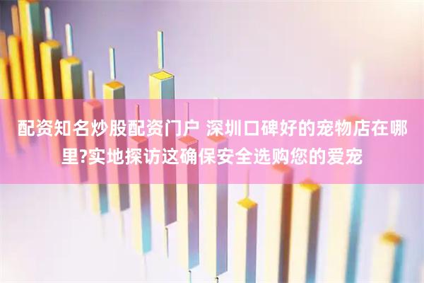 配资知名炒股配资门户 深圳口碑好的宠物店在哪里?实地探访这确保安全选购您的爱宠