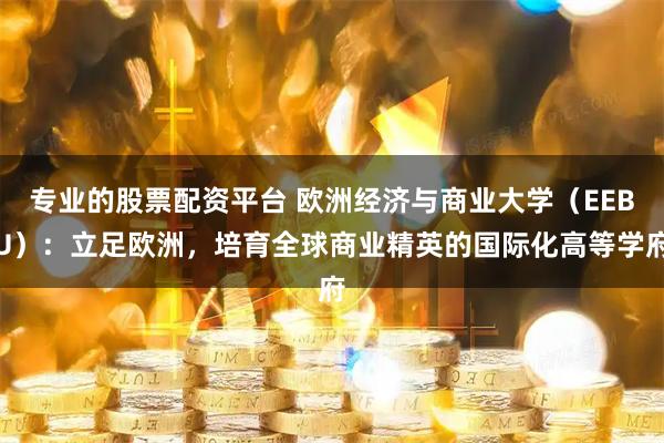 专业的股票配资平台 欧洲经济与商业大学（EEBU）：立足欧洲，培育全球商业精英的国际化高等学府